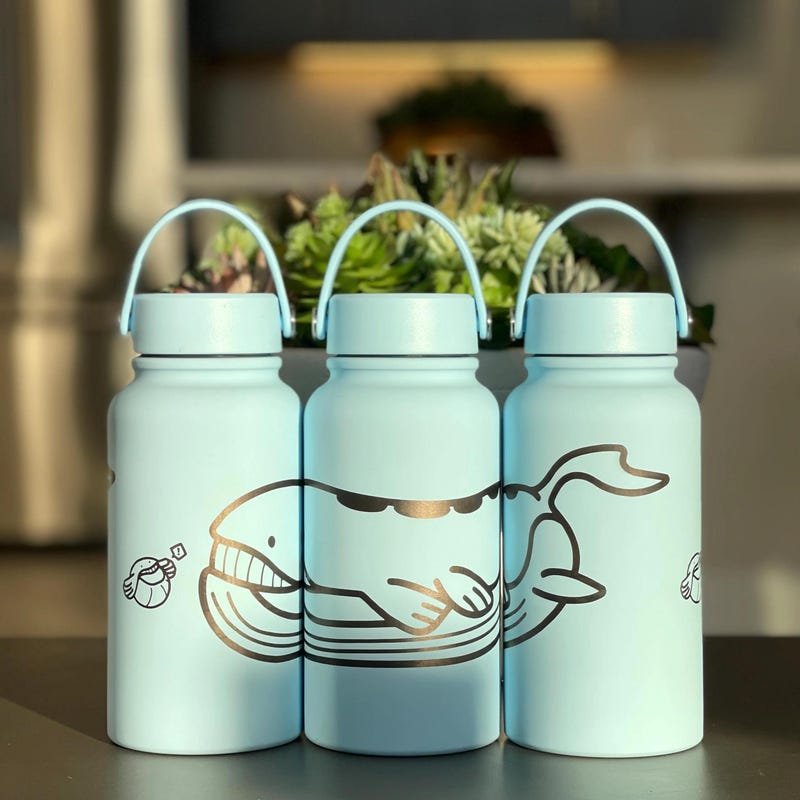 Pokémon-Inspired 22oz Tumbler Drink Bottle Travel Mug w/ Lid